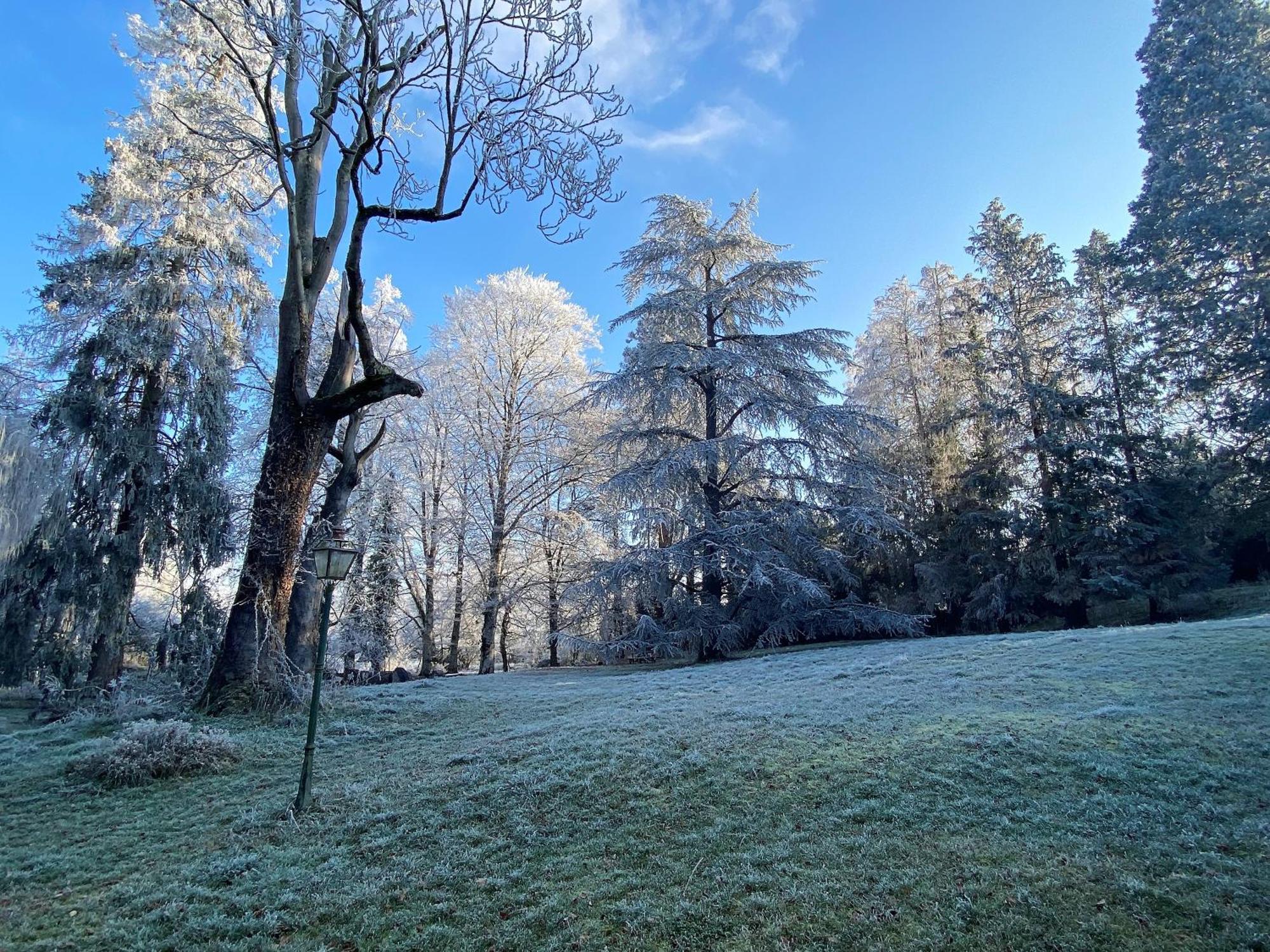 Bed and Breakfast Le Domaine De Moroges Exterior foto